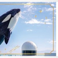 「濡れないチケット」の７月限定デザイン（鴨川シーワールド提供）