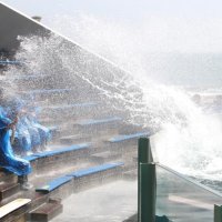 迫力！シャチの水しぶき　来月から「ずぶ濡れフェス」　鴨川シーワールド　限定デザイン「濡れないチケット」も販売