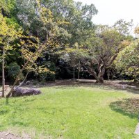 内庭は表庭とは対照的。主屋の南に広がる芝生地で、中央に大きなサルスベリが立つ（合同会社もば建築文化研究所提供）
