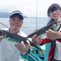 保田沖で釣り上げたアジ（写真は「村井丸」提供）
