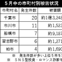 電話de詐欺最前線　６月２５日現在（暫定値、ＳＮＳ型詐欺は含まず）