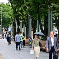 「まちづくりビジョン」が策定された中央公園プロムナード＝５月２７日、千葉市中央区