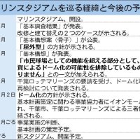 マリンスタジアムを巡る経緯と今後の予定