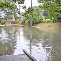 台風６号の影響で水がたまった公園＝３日午後４時２５分ごろ、千葉市中央区