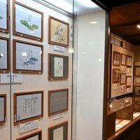 老舗和菓子店の掛紙紹介　成田羊羹資料館企画展　米屋や全国名店の５２点