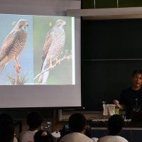 児童渡り鳥「サシバ」学ぶ　絶滅危惧種神崎へ飛来