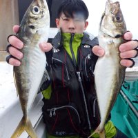 保田、観音崎アジ食い順調　木更津、盤洲シロギス好釣　【今週の釣果】