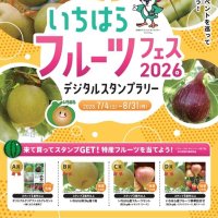 市原の特産果物楽しんで　４日からスタンプラリー