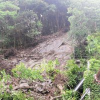高さ約２０メートル、幅約１５メートルにわたって崩落した山肌＝２日午後１時ごろ、鴨川市小湊